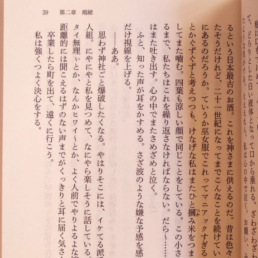 "Your name" novel
