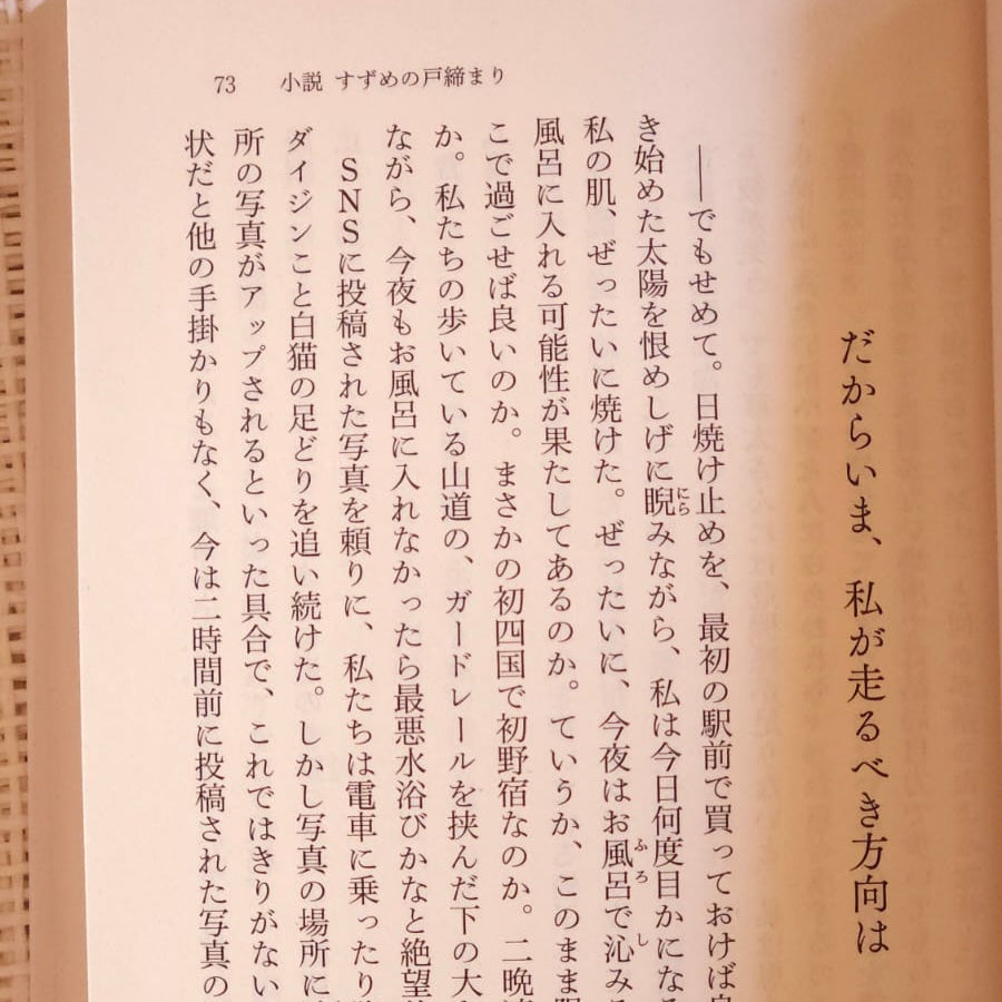 "Suzume" novel