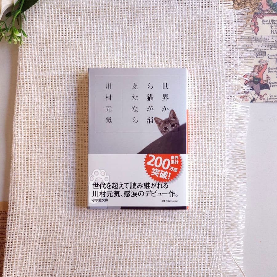 "If cats disappeared from the world" novel