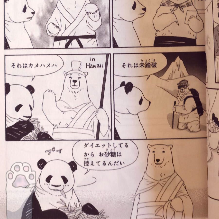 مانجا مقهى الدب القطبي