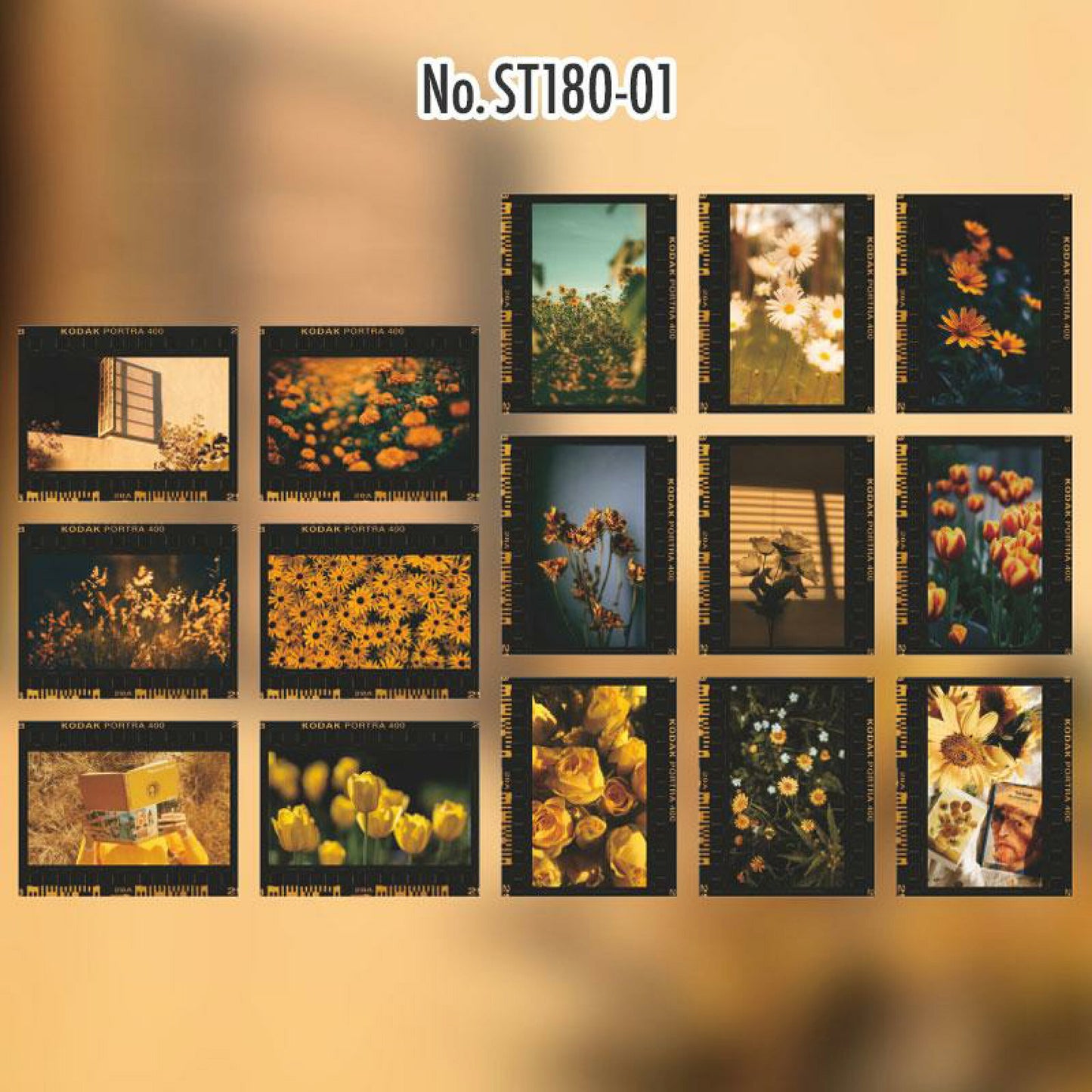 Camera film stickers