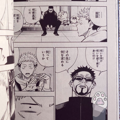 Jujutsu Kaisen manga