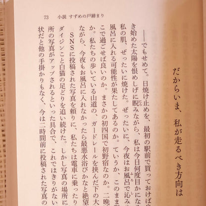 "Suzume" novel