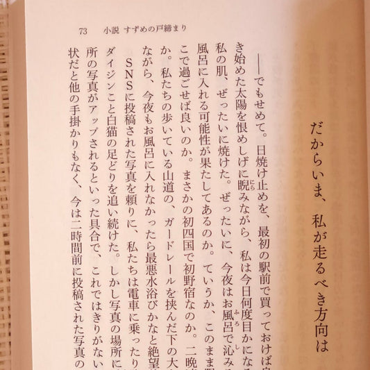 "Suzume" novel