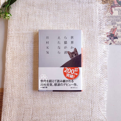 "If cats disappeared from the world" novel
