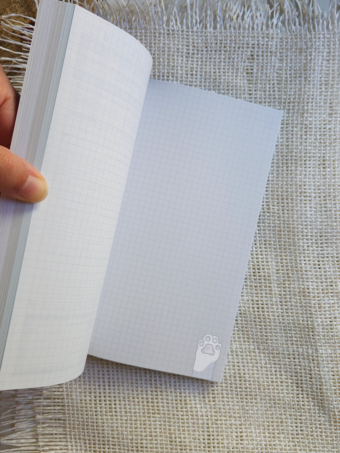 اجندة دراسية غير مرقمة