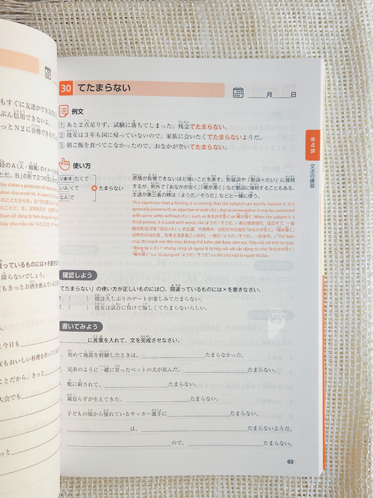 Grammar Buddy JLPT N2