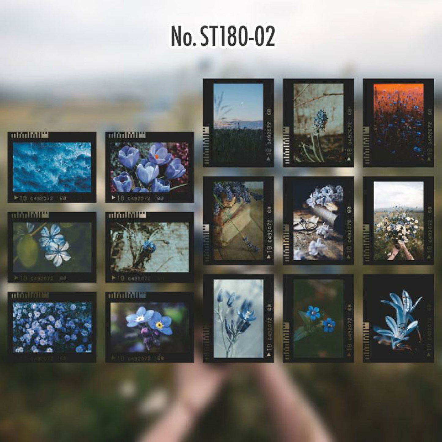 Camera film stickers