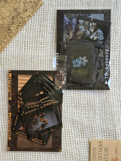 Camera film stickers