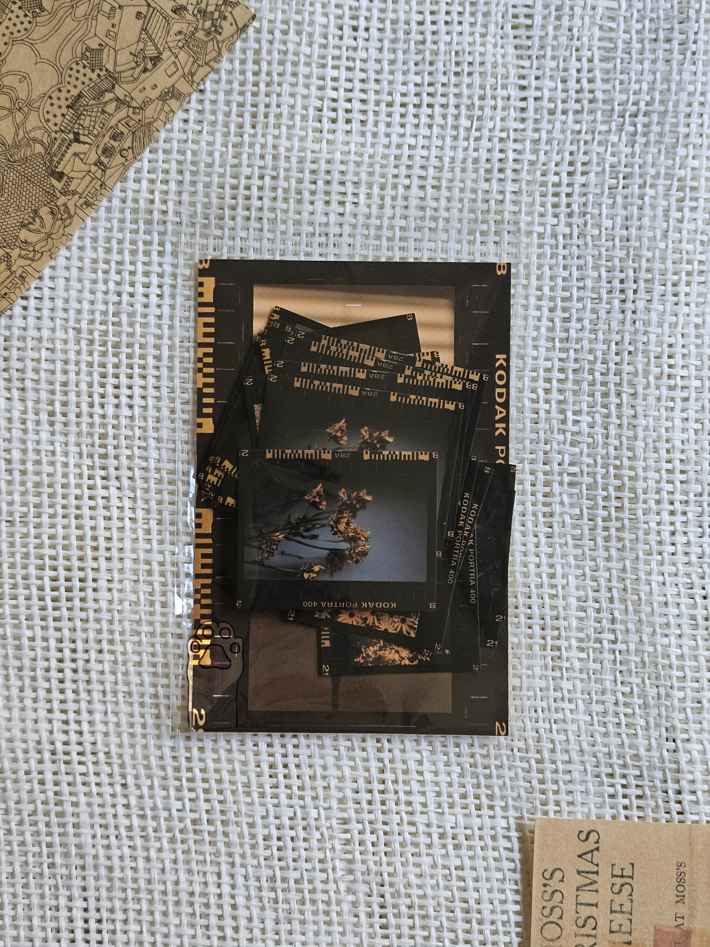 Camera film stickers